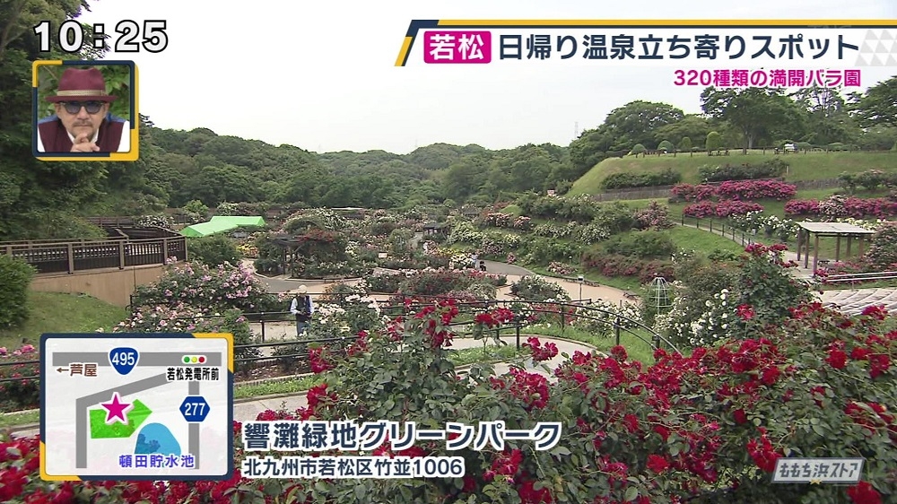 響灘緑地グリーンパーク お店情報 ももち浜ストア番組公式サイト テレビ西日本