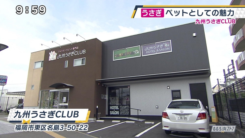 九州うさぎclub お店情報 ももち浜ストア番組公式サイト テレビ西日本