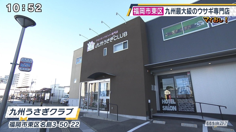 九州うさぎclub 福岡市 ゴリおし お店情報 ももち浜ストア番組公式サイト テレビ西日本