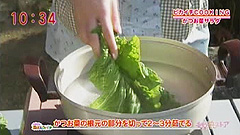 かつお菜サラダ その他 レシピ集 ももち浜ストア番組公式サイト テレビ西日本