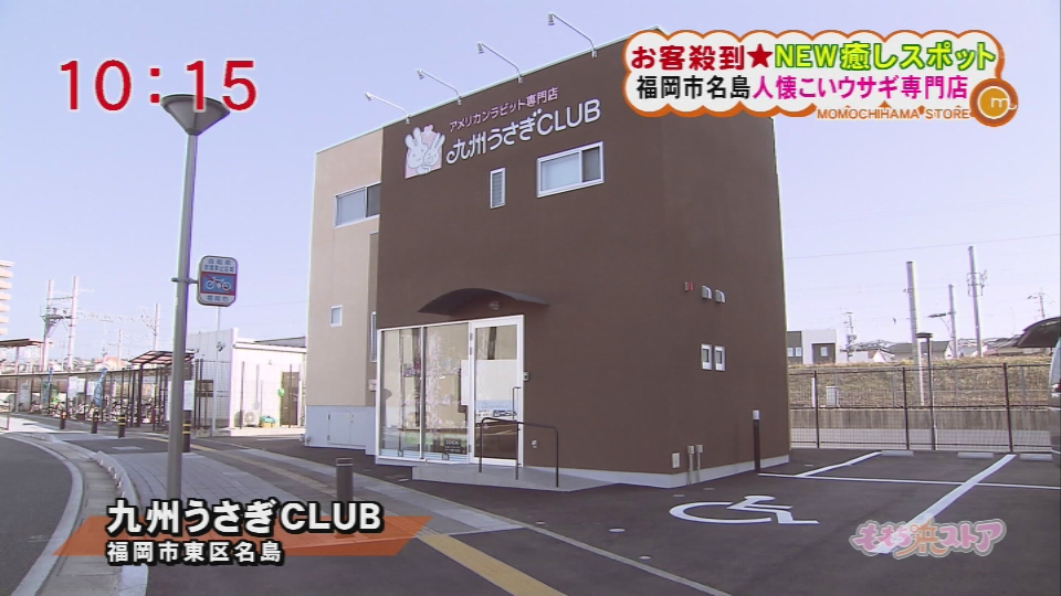 九州うさぎclub お店情報 ももち浜ストア番組公式サイト テレビ西日本