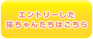 エントリーした猫ちゃんたちはこちら