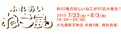 ふれあいねこ展2015年7月23日～8月3日大丸福岡天神店・本館8階 特別会場