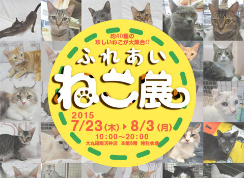 ふれあいねこ展2015年7月23日～8月3日大丸福岡天神店・本館8階 特別会場
