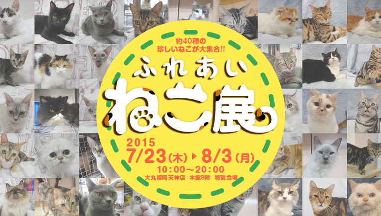 ふれあいねこ展2015年7月23日～8月3日大丸福岡天神店・本館8階 特別会場