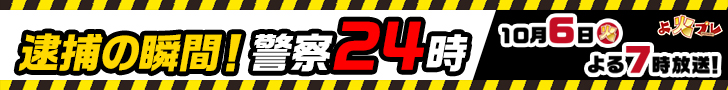 逮捕の瞬間!警察24時