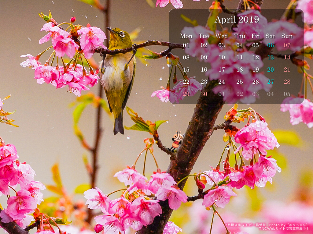 てれビー壁紙ダウンロード 19年4月 Tnc テレビ西日本