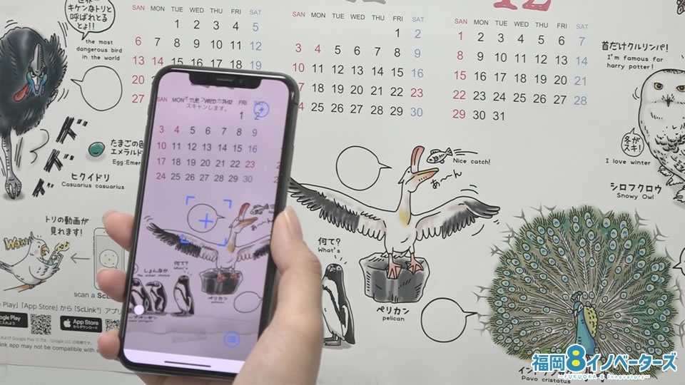 福岡８イノベーターズ