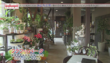 2014年4月26日 放送 母の日に贈る フラワーアレンジメント