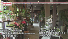 2014年4月26日 放送 母の日に贈る フラワーアレンジメント
