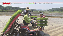 2014年6月21日 放送 初めての田植えに挑戦