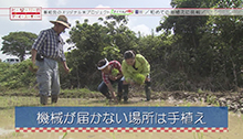 2014年6月21日 放送 初めての田植えに挑戦