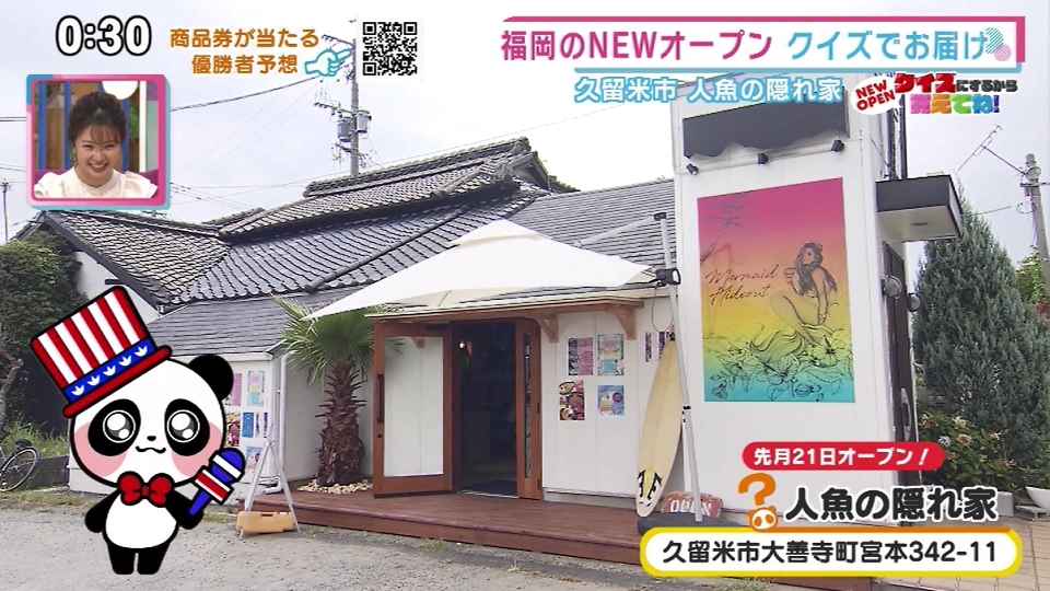 人魚の隠れ家 番組で紹介したお店 にちようももち Tncテレビ西日本