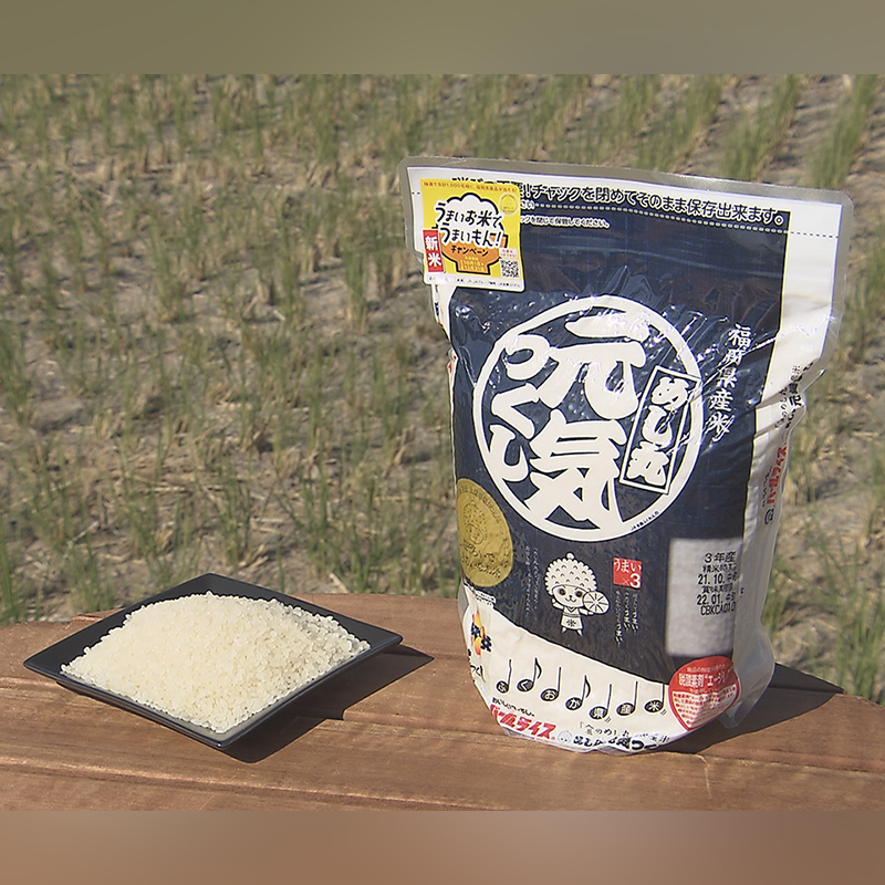 元気つくし