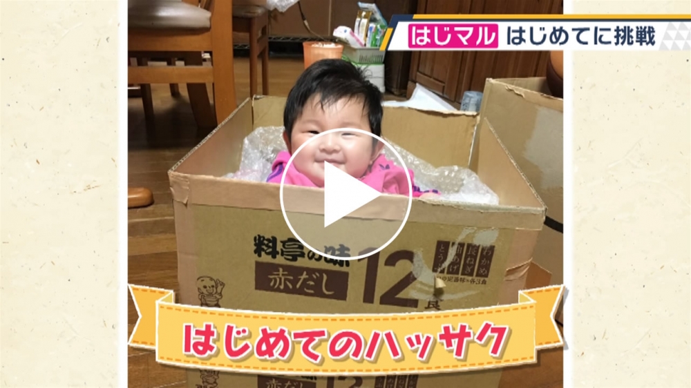 2019年4月22日 OA 坂口 結彩ちゃん「はじめてのハッサク」