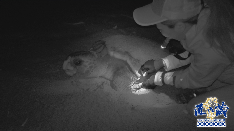 大野睦 2026年01月11日(日) 21:47 ～